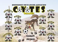 Coyotes Soccer Team Banner - AYSO Coyotes Banner - TeamsBanner