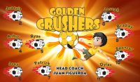 Crush Soccer Team Banner - AYSO Crush Banner - TeamsBanner