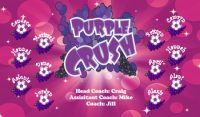 Crush Soccer Team Banner - AYSO Crush Banner - TeamsBanner