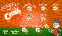 Crush Soccer Team Banner - AYSO Crush Banner - TeamsBanner