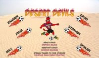 Devils Soccer Team Banner - AYSO Devils Banner - TeamsBanner