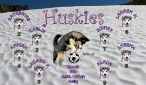 Dogs Soccer Team Banner - AYSO Dogs Banner - TeamsBanner