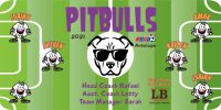 Dogs Soccer Team Banner - AYSO Dogs Banner - TeamsBanner