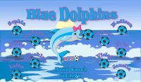 Dolphins Soccer Team Banner - AYSO Dolphins Banner - TeamsBanner