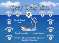 Dolphins Soccer Team Banner - AYSO Dolphins Banner - TeamsBanner
