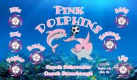 Dolphins Soccer Team Banner - AYSO Dolphins Banner - TeamsBanner