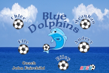 Dolphins Soccer Team Banner - AYSO Dolphins Banner - TeamsBanner