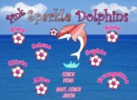 Dolphins Soccer Team Banner - AYSO Dolphins Banner - TeamsBanner