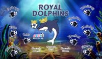 Dolphins Soccer Team Banner - AYSO Dolphins Banner - TeamsBanner