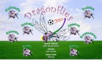 Dragonflies Soccer Team Banner - AYSO Dragonflies Banner - TeamsBanner