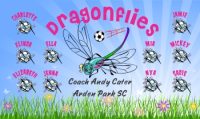 Dragonflies Soccer Team Banner - AYSO Dragonflies Banner - TeamsBanner