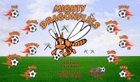Dragonflies Soccer Team Banner - AYSO Dragonflies Banner - TeamsBanner