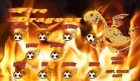Dragons Soccer Team Banner - AYSO Dragons Banner - TeamsBanner