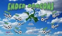 Dragons Soccer Team Banner - AYSO Dragons Banner - TeamsBanner
