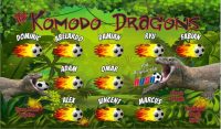 Dragons Soccer Team Banner - AYSO Dragons Banner - TeamsBanner