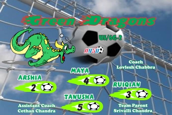 Dragons Soccer Team Banner - AYSO Dragons Banner - TeamsBanner
