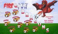 Dragons Soccer Team Banner - AYSO Dragons Banner - TeamsBanner
