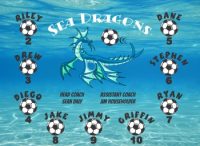 Dragons Soccer Team Banner - AYSO Dragons Banner - TeamsBanner