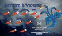 Dragons Soccer Team Banner - AYSO Dragons Banner - TeamsBanner