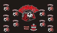 Dynamite Soccer Team Banner - AYSO Dynamite Banner - TeamsBanner