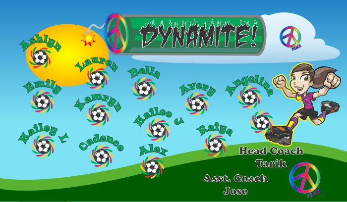 Dynamite Soccer Team Banner - AYSO Dynamite Banner - TeamsBanner