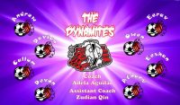 Dynamite Soccer Team Banner - AYSO Dynamite Banner - TeamsBanner