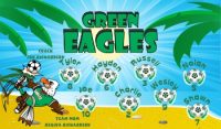 Eagles Soccer Team Banner - AYSO Eagles Banner - TeamsBanner