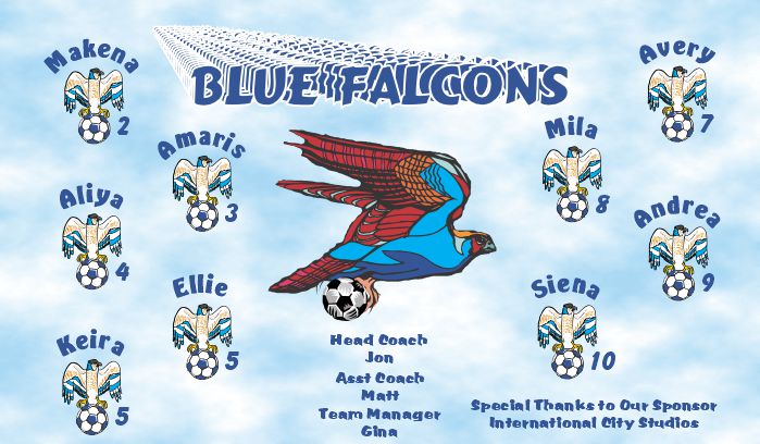 Falcons Soccer Team Banner - AYSO Falcons Banner - TeamsBanner