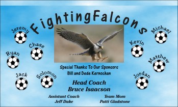 Falcons Soccer Team Banner - AYSO Falcons Banner - TeamsBanner