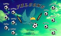 Falcons Soccer Team Banner - AYSO Falcons Banner - TeamsBanner