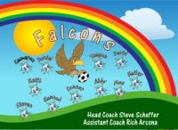 Falcons Soccer Team Banner - AYSO Falcons Banner - TeamsBanner
