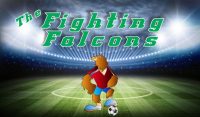 Falcons Soccer Team Banner - AYSO Falcons Banner - TeamsBanner