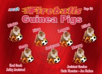 Fire Balls Soccer Team Banner - AYSO Fire Balls Banner - TeamsBanner