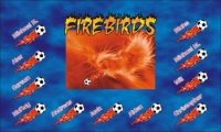 Fire Birds Soccer Team Banner - AYSO Fire Birds Banner - TeamsBanner
