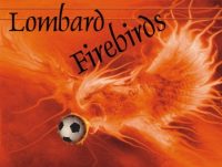 Fire Birds Soccer Team Banner - AYSO Fire Birds Banner - TeamsBanner