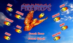 Fire Birds Soccer Team Banner - AYSO Fire Birds Banner - TeamsBanner