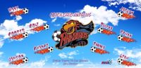 Fire Birds Soccer Team Banner - AYSO Fire Birds Banner - TeamsBanner