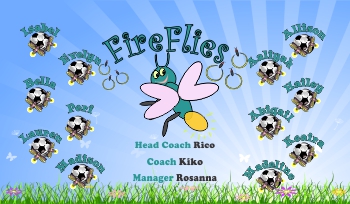 Fireflies Soccer Team Banner - AYSO Fireflies Banner - TeamsBanner
