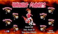 Flames Soccer Team Banner - AYSO Flames Banner - TeamsBanner