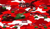 Fury Soccer Team Banner - AYSO Fury Banner - TeamsBanner