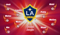 Galaxy Soccer Team Banner - AYSO Galaxy Banner - TeamsBanner