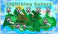 Gators Soccer Team Banner - AYSO Gators Banner - TeamsBanner