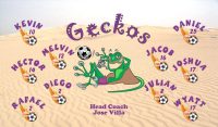 Geckos Soccer Team Banner - AYSO Geckos Banner - TeamsBanner