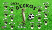 Geckos Soccer Team Banner - AYSO Geckos Banner - TeamsBanner
