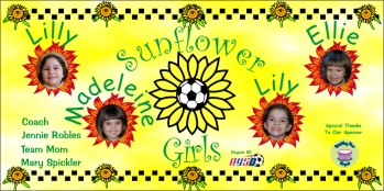 Girls Soccer Team Banner - AYSO Girls Banner - TeamsBanner