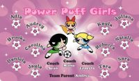 Girls Soccer Team Banner - AYSO Girls Banner - TeamsBanner