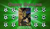 Goblins Soccer Team Banner - AYSO Goblins Banner - TeamsBanner