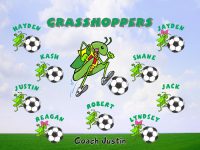Grasshoppers Soccer Team Banner - AYSO Grasshoppers Banner - TeamsBanner