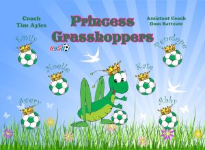 Grasshoppers Soccer Team Banner - AYSO Grasshoppers Banner - TeamsBanner