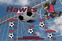 Hawks Soccer Team Banner - AYSO Hawks Banner - TeamsBanner